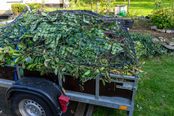 Best Carpet Removal and Disposal  in Springfield, IL